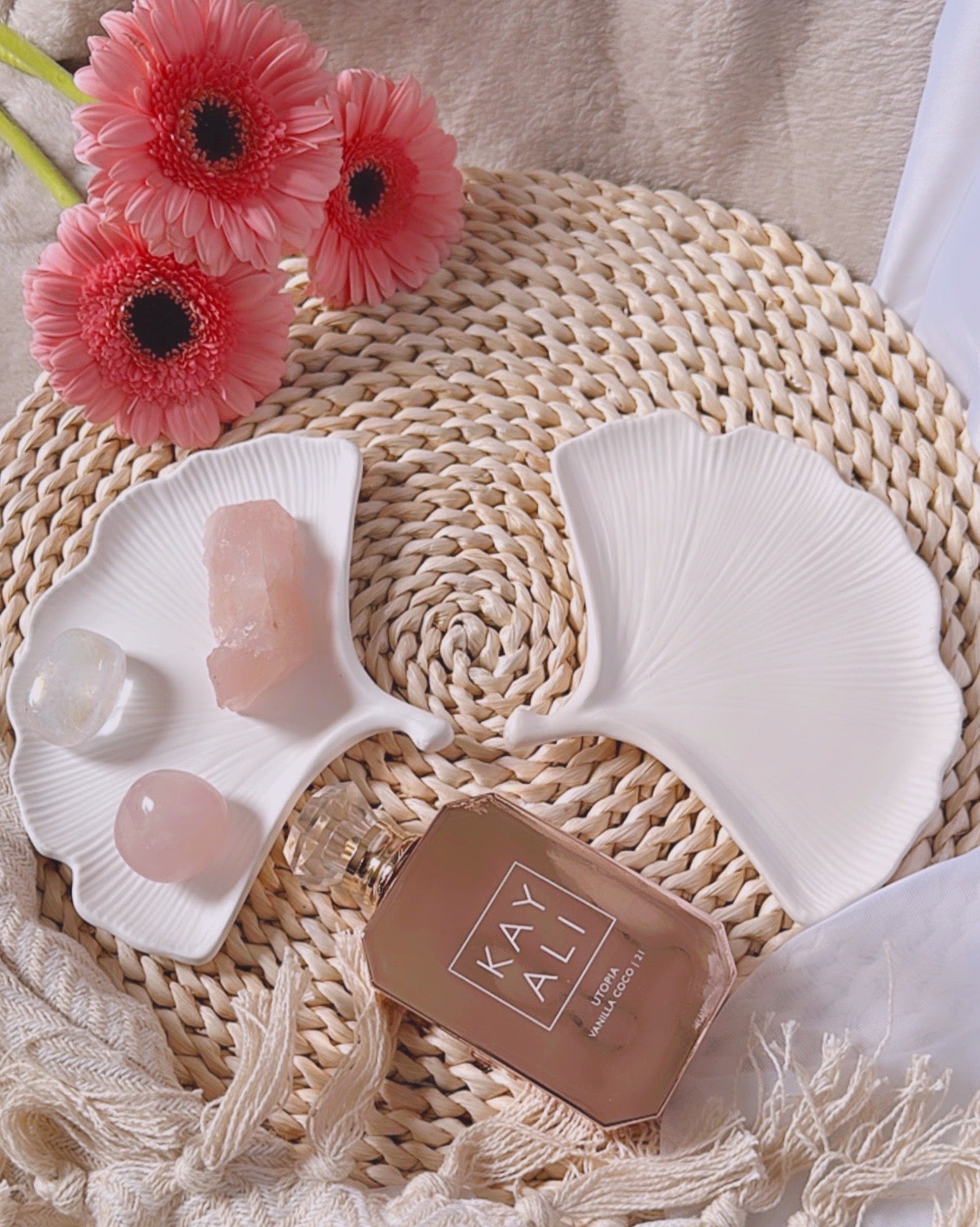 Shell Tray