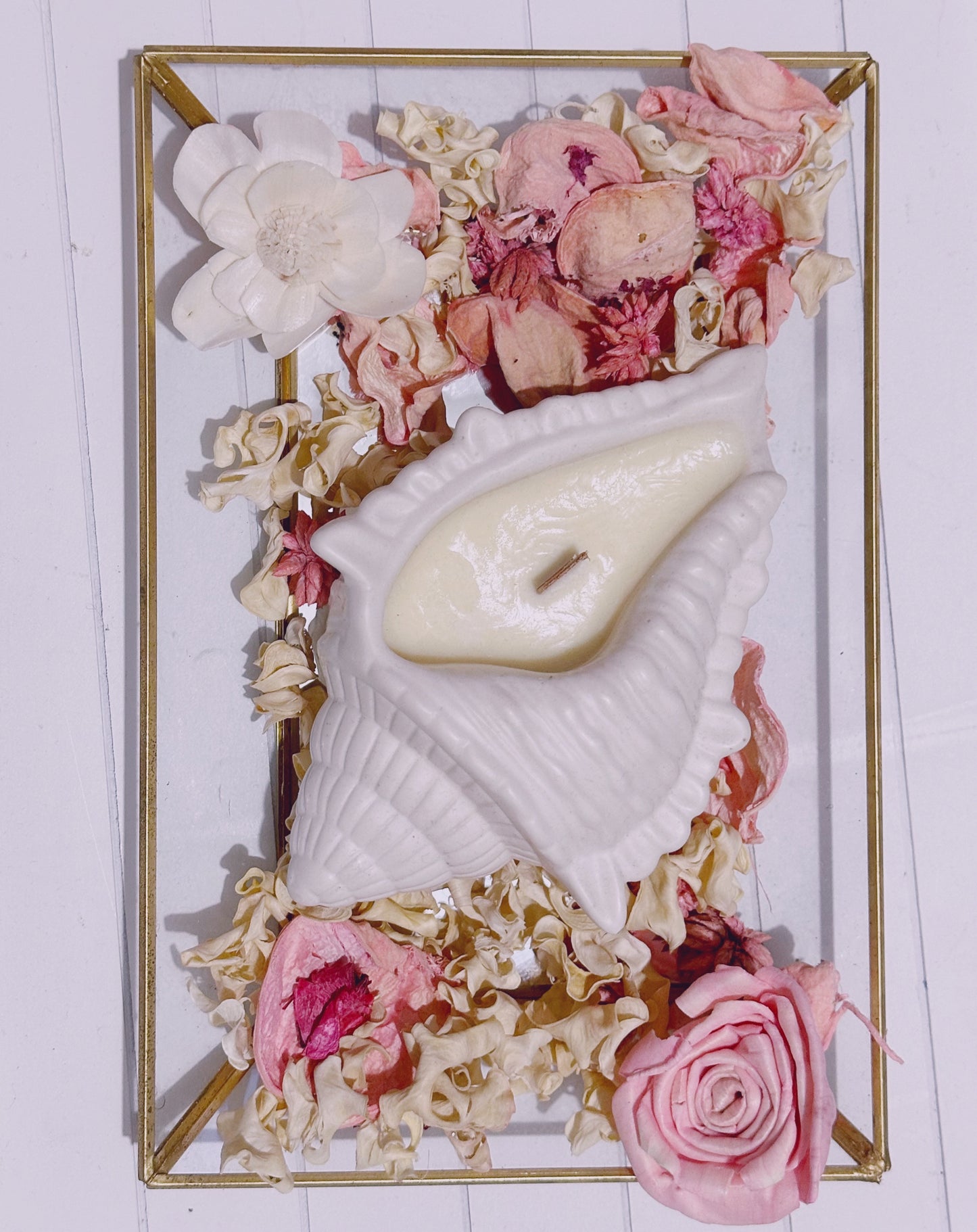 Wood Wick Sea Shell Candle