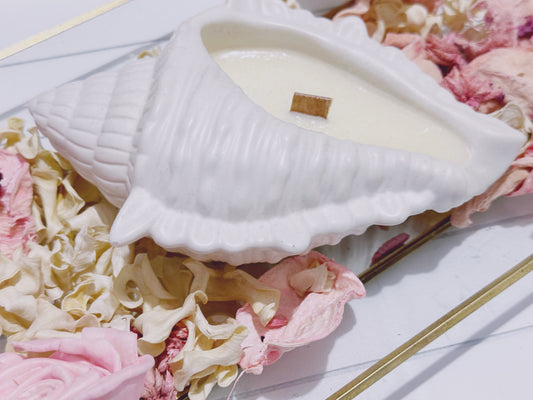 Wood Wick Sea Shell Candle