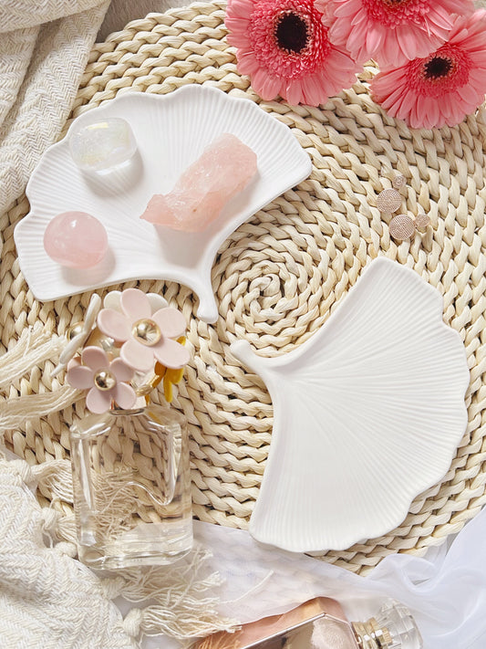 Shell Tray